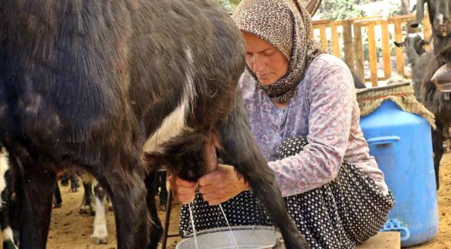 İNTERNETTEN ÖĞRENDİM