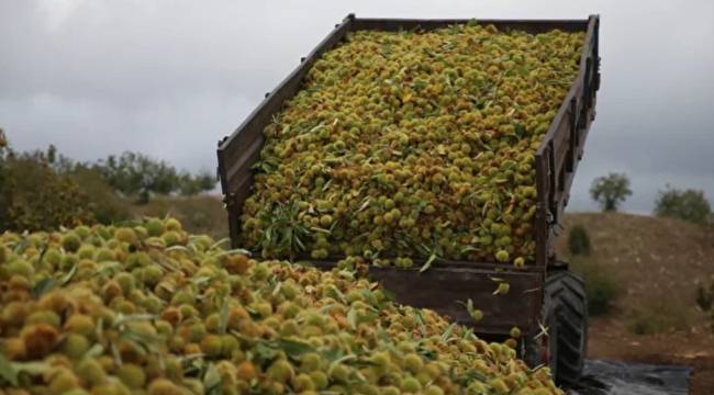 İKİ FARKLI HİBEYLE TESİS KURDULAR