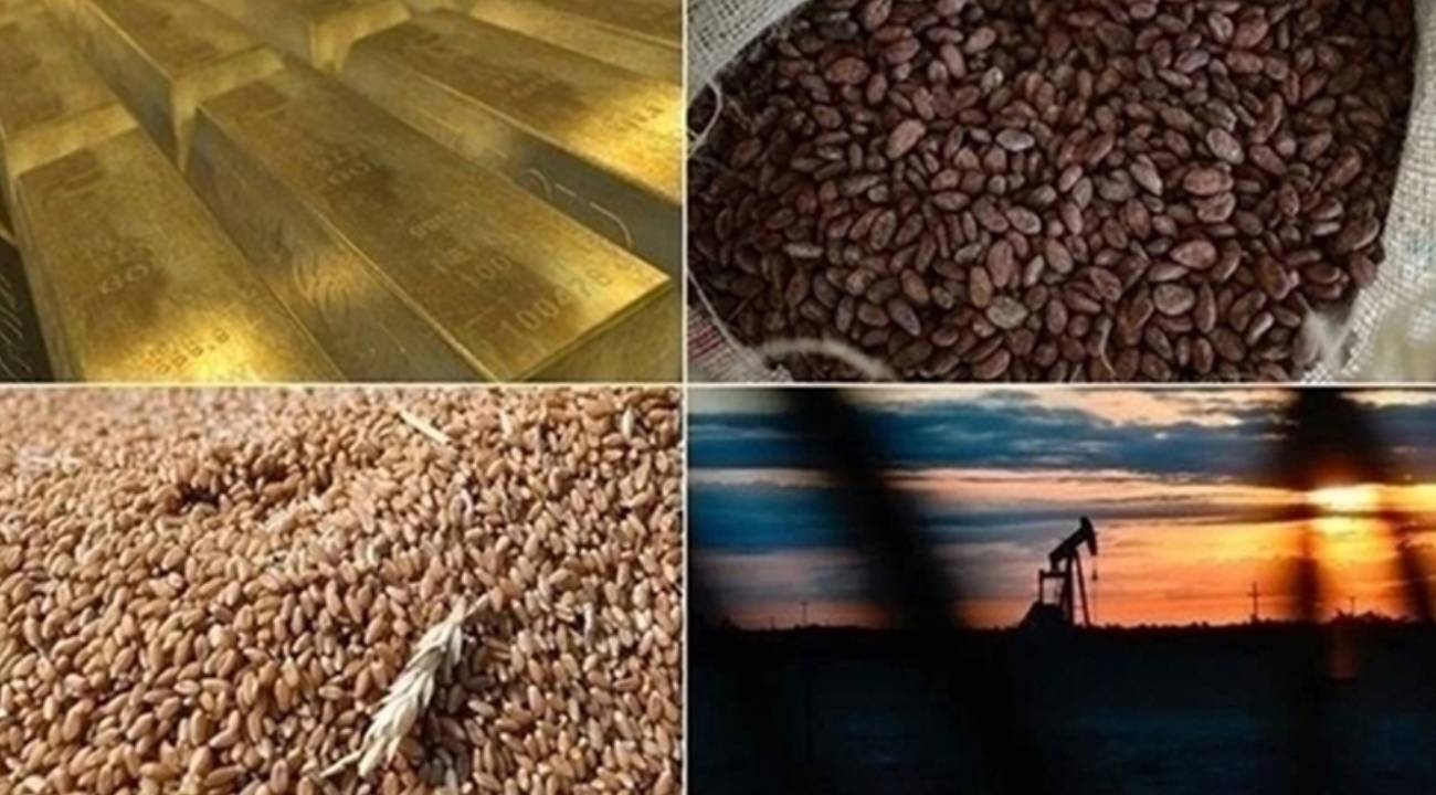 Dünya Bankası'ndan gıda, emtia, altın fiyatları tahmini