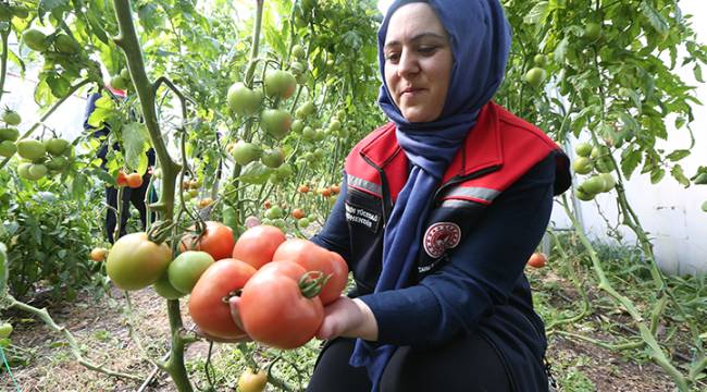 5 MÜHENDİS BAKIYOR