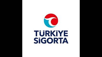Türkiye Sigorta'dan (TURSG) bedelsiz açıklaması