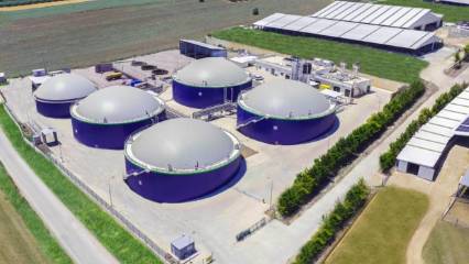 Ecogreen Enerji halka arz tarihi: Lot sayısı, fiyatı ne kadar? Ne iş yapıyor?