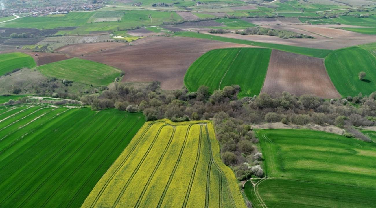 Emlakjet'e göre 'arsa' ilgisi sürüyor: Öne çıkan iki bölge