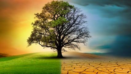 Ürküten tahmin: Türkiye’de iklim iki mevsime mi dönüyor?