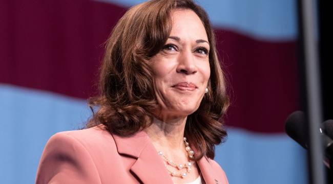 Gözler Biden'ın desteklediği isme çevrildi: Kamala Harris kimdir?