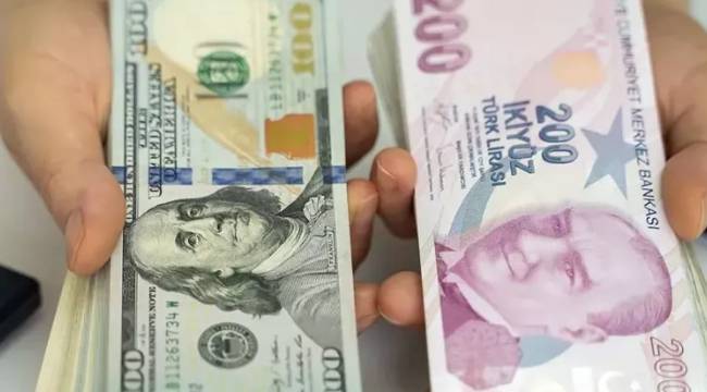 Merkez Bankası anketinde yıl sonu dolar ve enflasyon beklentisi geriledi 