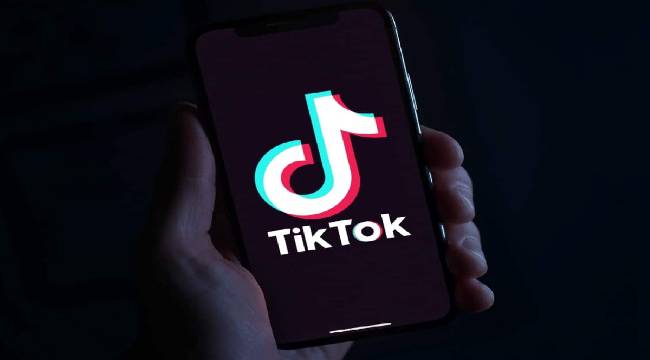 Kanada'dan TikTok kararı 