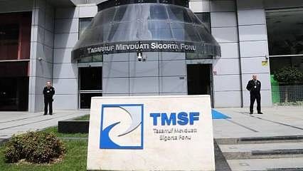 TMSF bir şirketi daha satışa çıkardı