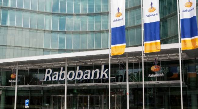 Rönesans Holding, Rabobank'ı satın alıyor 