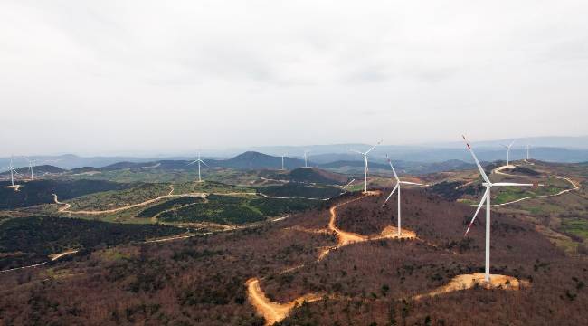 Enerjide acele kamulaştırma kararları