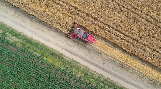 Tarımsal girdi enflasyonunda yükseliş sürüyor 