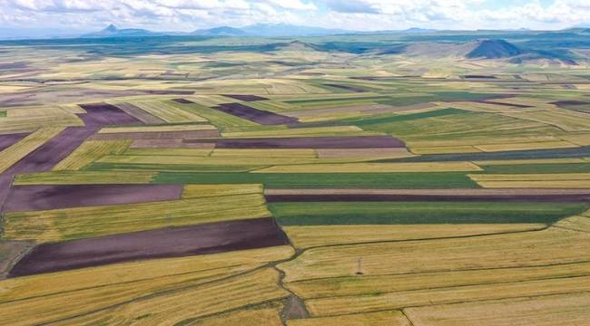 Talep patladı, dolandırıcılık arttı: Peki, arsa ve tarla alırken nelere dikkat edilmeli? 