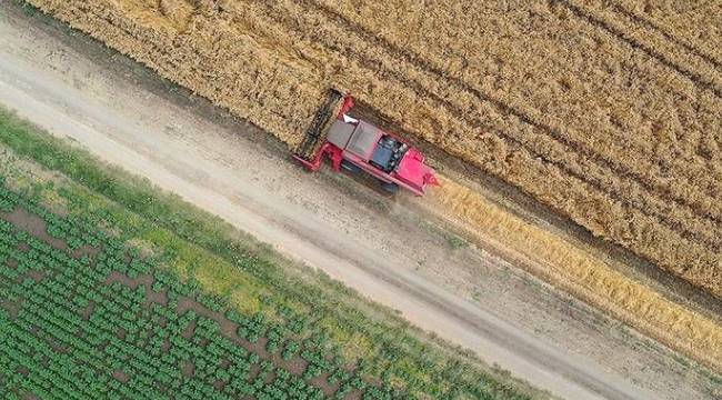 Tarımsal girdi enflasyonunda artış sürüyor 