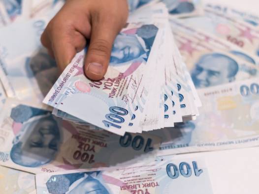 Vergi kaçıranları ihbar eden 176 kişiye 15 milyon lira ödül 