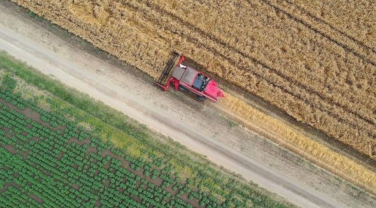 Tarımsal girdi enflasyonunda yükseliş sürüyor 