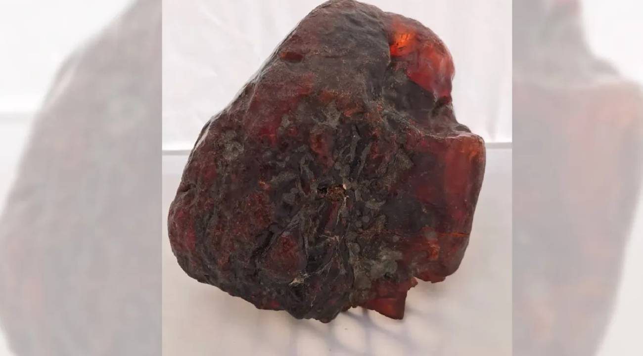 Yıllarca kapı stoperi olarak kullanıldı, gerçek değeri şaşkına çevirdi