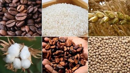 Emtia piyasası yön arayışında