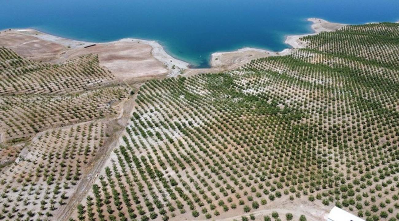 Hazine'den kiraladığı atıl araziyi bu hale getirdi, köylüye ilham oldu