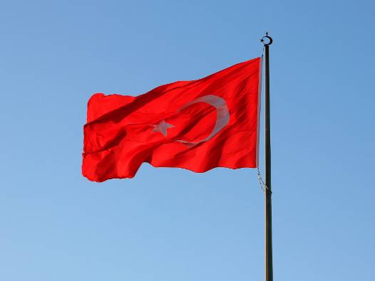 OECD, küresel ekonomi ve Türkiye büyüme tahminini açıkladı 