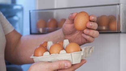  Yumurtada "mayıs çukuru" fiyatları düşürdü 