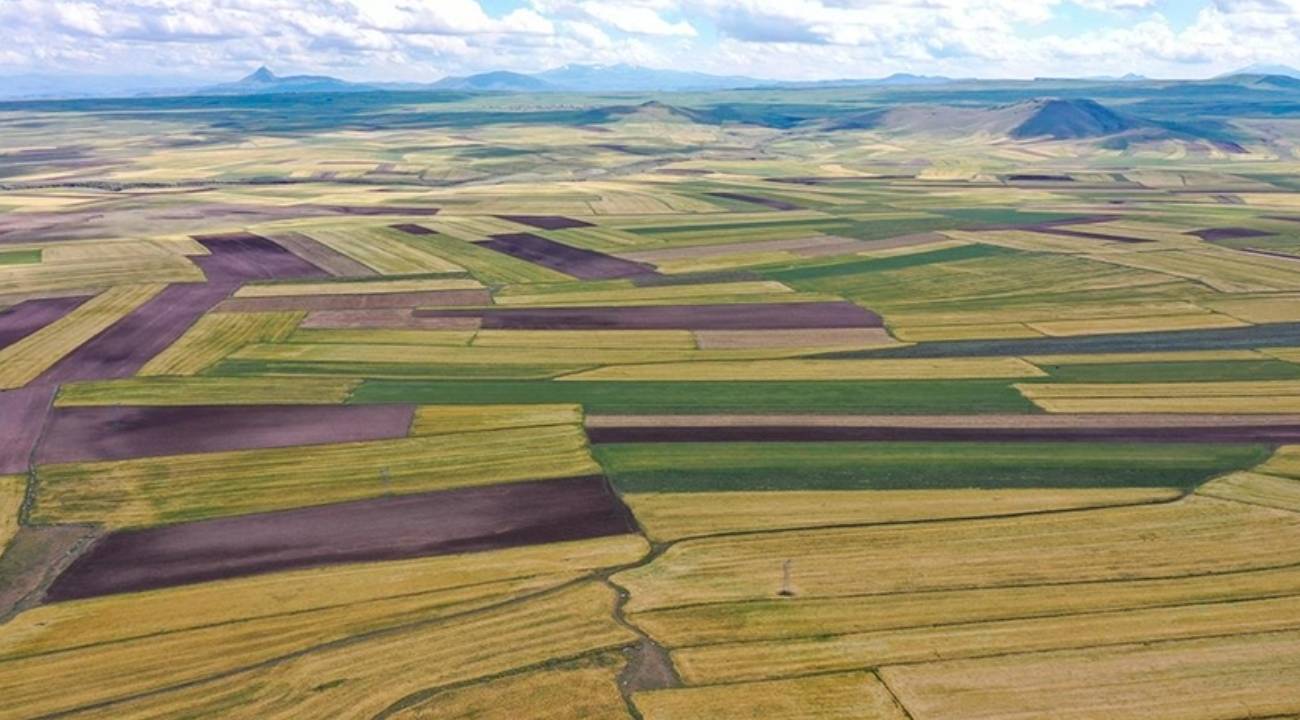 Talep patladı, dolandırıcılık arttı: Peki, arsa ve tarla alırken nelere dikkat edilmeli? 