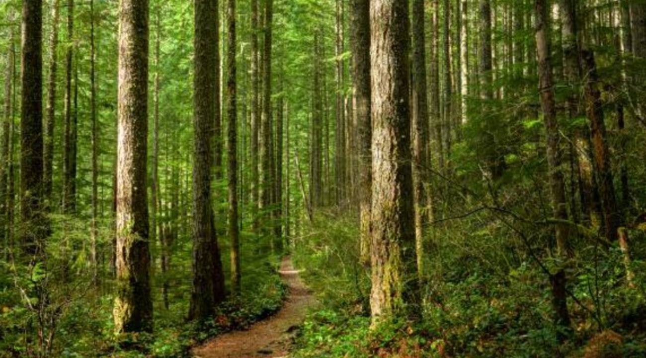 OGM personel alımı başvurusu ne zaman bitiyor? OGM 496 sözleşmeli personel alımı başvuru şartları