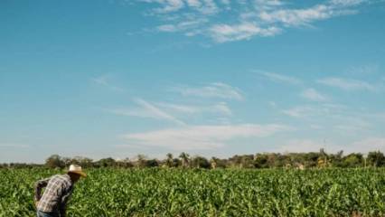 OGM personel alımı başvuruları nasıl yapılır? OGM 496 sözleşmeli personel alımı başvurusu ne zaman bitiyor?