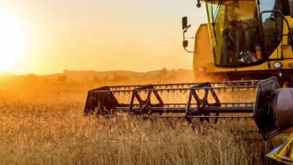 Tarımsal destek ödemeleri ne zaman yatacak? Çiftçi destek ödemesi sorgulama