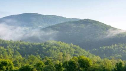 OGM sonuçları açıklandı mı? Gözler OGM personel alımı sonuçlarına çevrildi