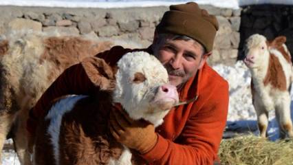 Kars'ta besiciler sıfırın altında 10 derecede zorlu mesai yapıyor