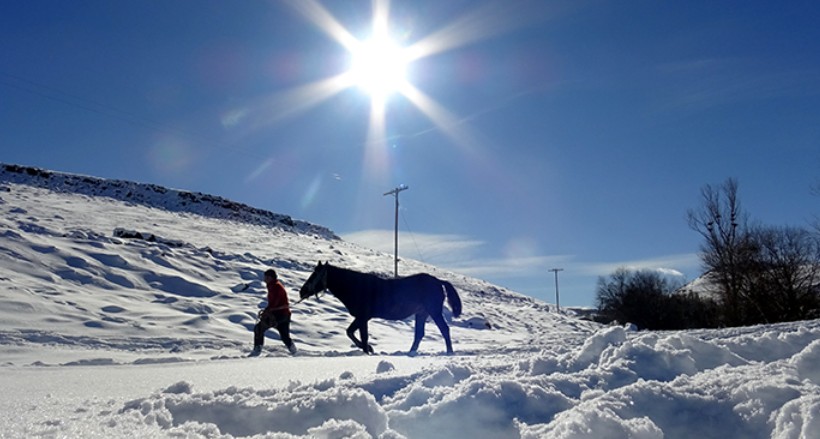 Kars'ta besiciler sıfırın altında 10 derecede zorlu mesai yapıyor-1