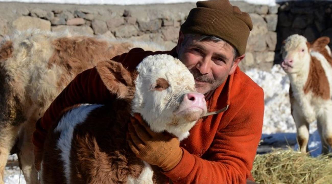 Kars'ta besiciler sıfırın altında 10 derecede zorlu mesai yapıyor