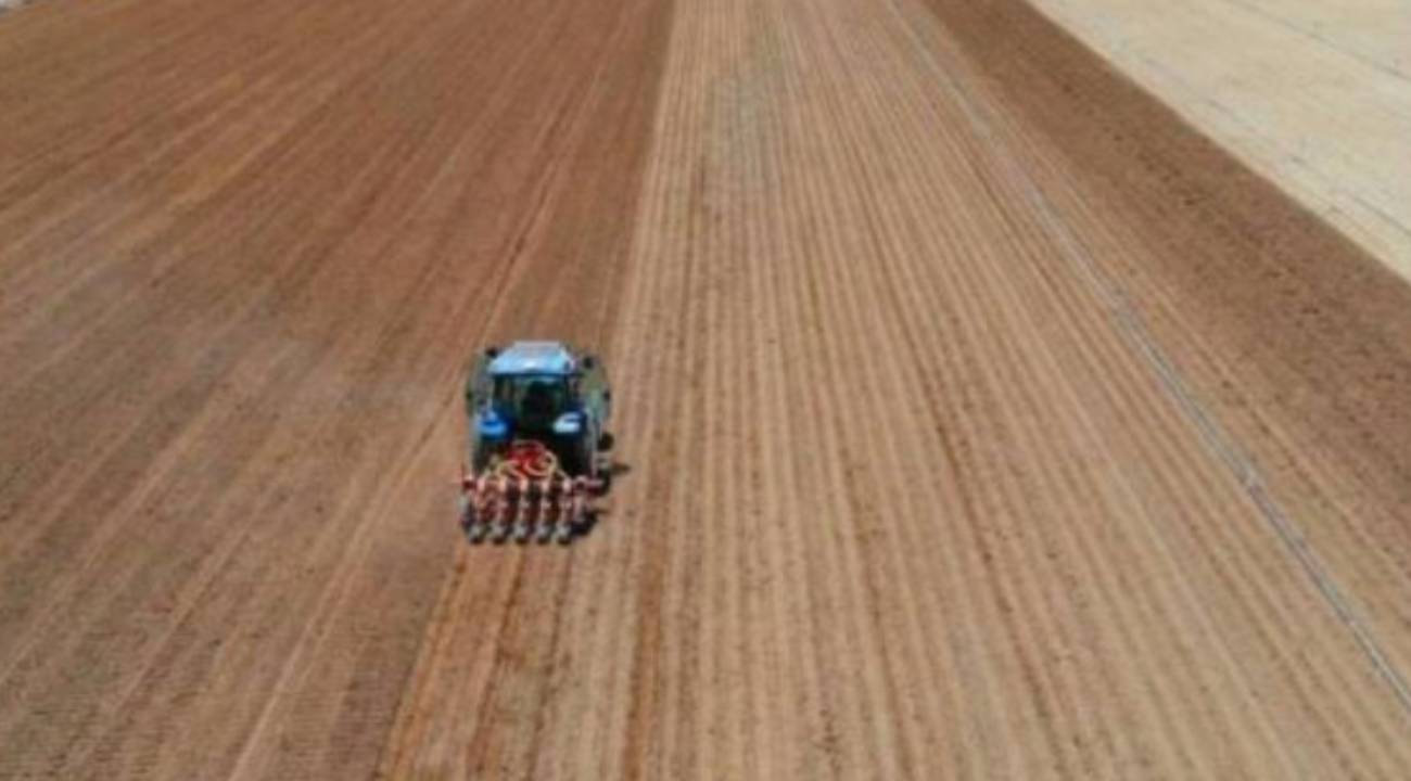 Tarım ve Orman Bakanlığı 200 sözleşmeli personel alımı başvuruları ne zaman bitiyor? İşte kadro dağılımı 