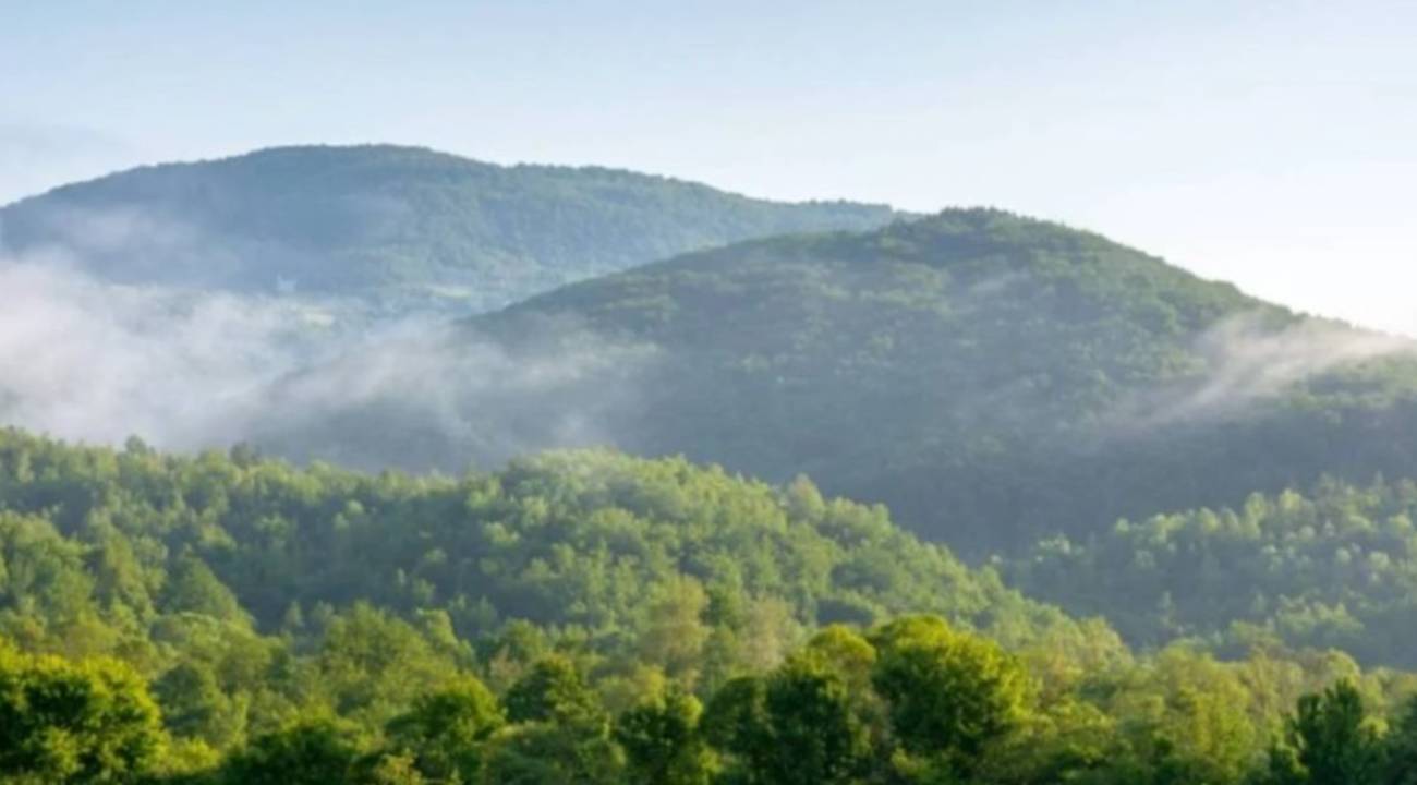 OGM sonuçları açıklandı mı? Gözler OGM personel alımı sonuçlarına çevrildi 