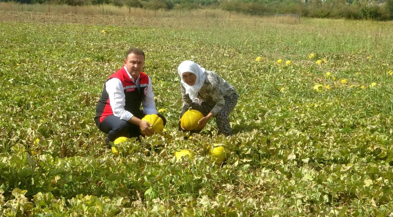 Çıkılan değil, inilen yaylada yetişiyorlar