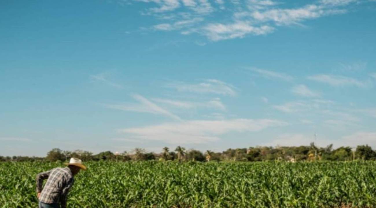 OGM personel alımı başvuruları nasıl yapılır? OGM 496 sözleşmeli personel alımı başvurusu ne zaman bitiyor? 
