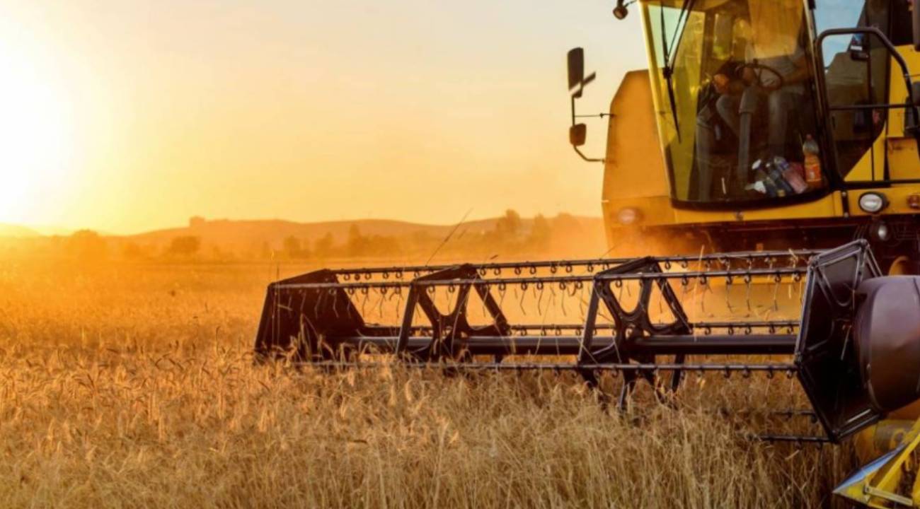 Tarımsal destek ödemeleri ne zaman yatacak? Çiftçi destek ödemesi sorgulama 
