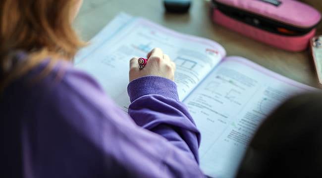 YDS sonuçları sorgulama: 2026 ÖSYM YDS sonuçları nereden öğrenilir?