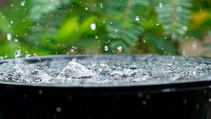 Yağmur suyu hasadı nedir, kullanım alanları neler? Yağmur suyu hasadı hakkında bilmemiz gerekenler