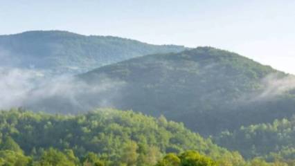 OGM personel alımı sonuçları açıklandı! OGM 496 sözleşmeli personel alımı sonuçları sorgulama