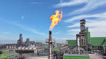 Tosyalı'dan dünya rekoru