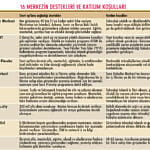 Girişimciye kuluçka desteği-1
