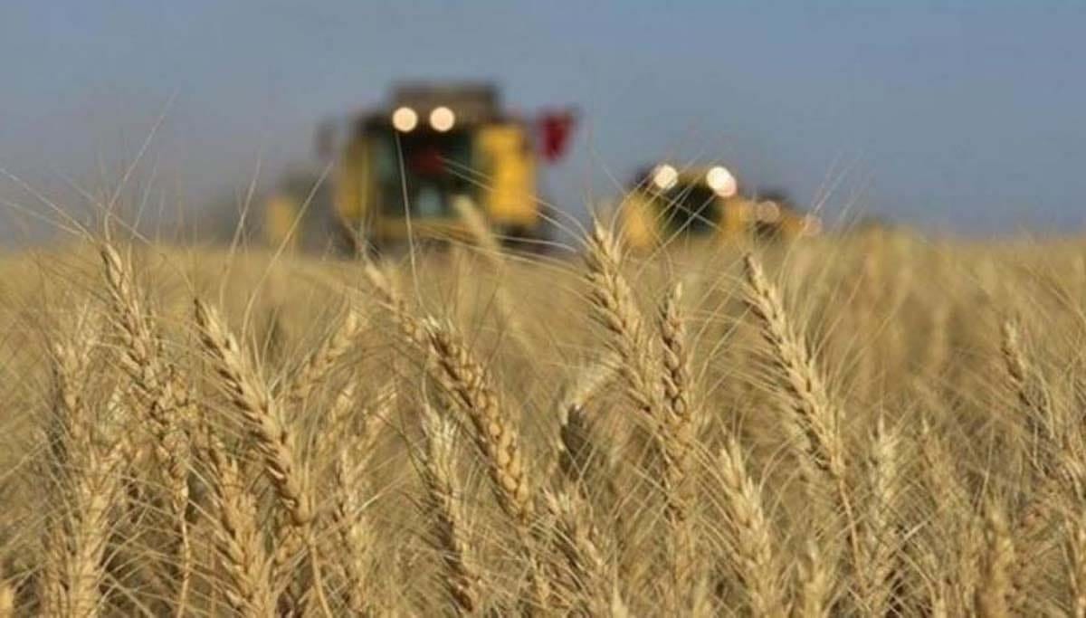 Rusya-Ukrayna savaşı ticarete de yansıdı... Hububat sektörü alternatif pazarlara yönelecek