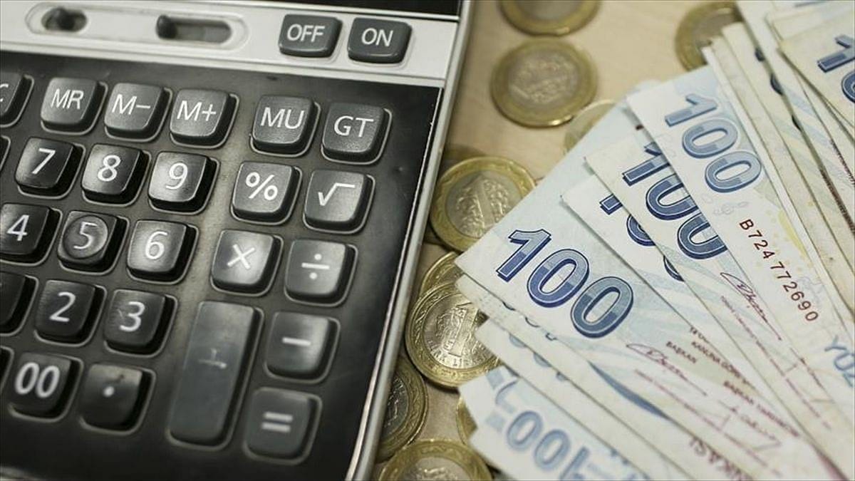 Pandemide tasarruf bilinci yükseldi:  Vatandaş parasını neye yatırdı?