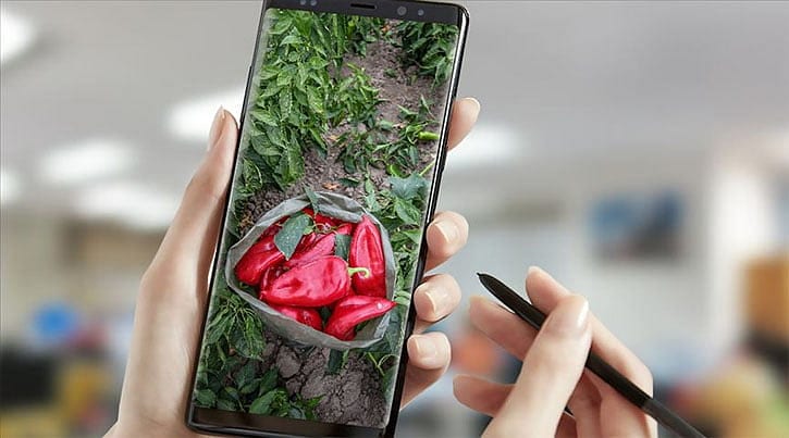 Çiftçiler için 'Dijital Tarım Pazarı' uygulaması başlatıldı