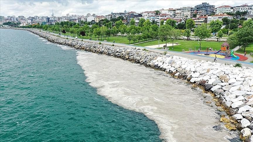 Bilim insanları müsilajın Marmara Denizi'ne etkilerini araştırıyor-4