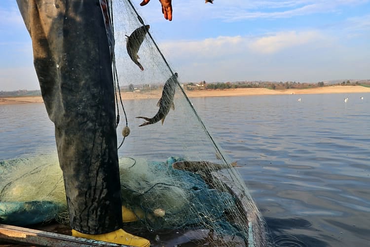 Eskiden ekip biçtikleri tarlalarda şimdi balık tutuyorlar