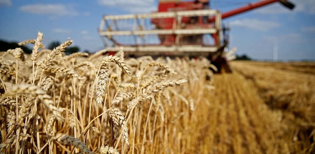 Tarım Girdi Fiyat Endeksi martta arttı