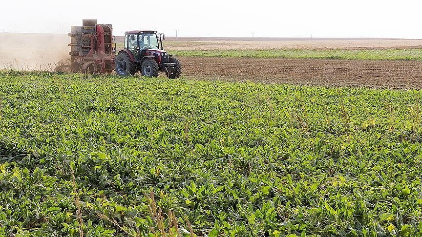 Boş olan Hazine arazileri çiftçilere kiraya verilecek