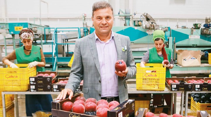 Meyve sebze satarak 200 şirket arasına girdi